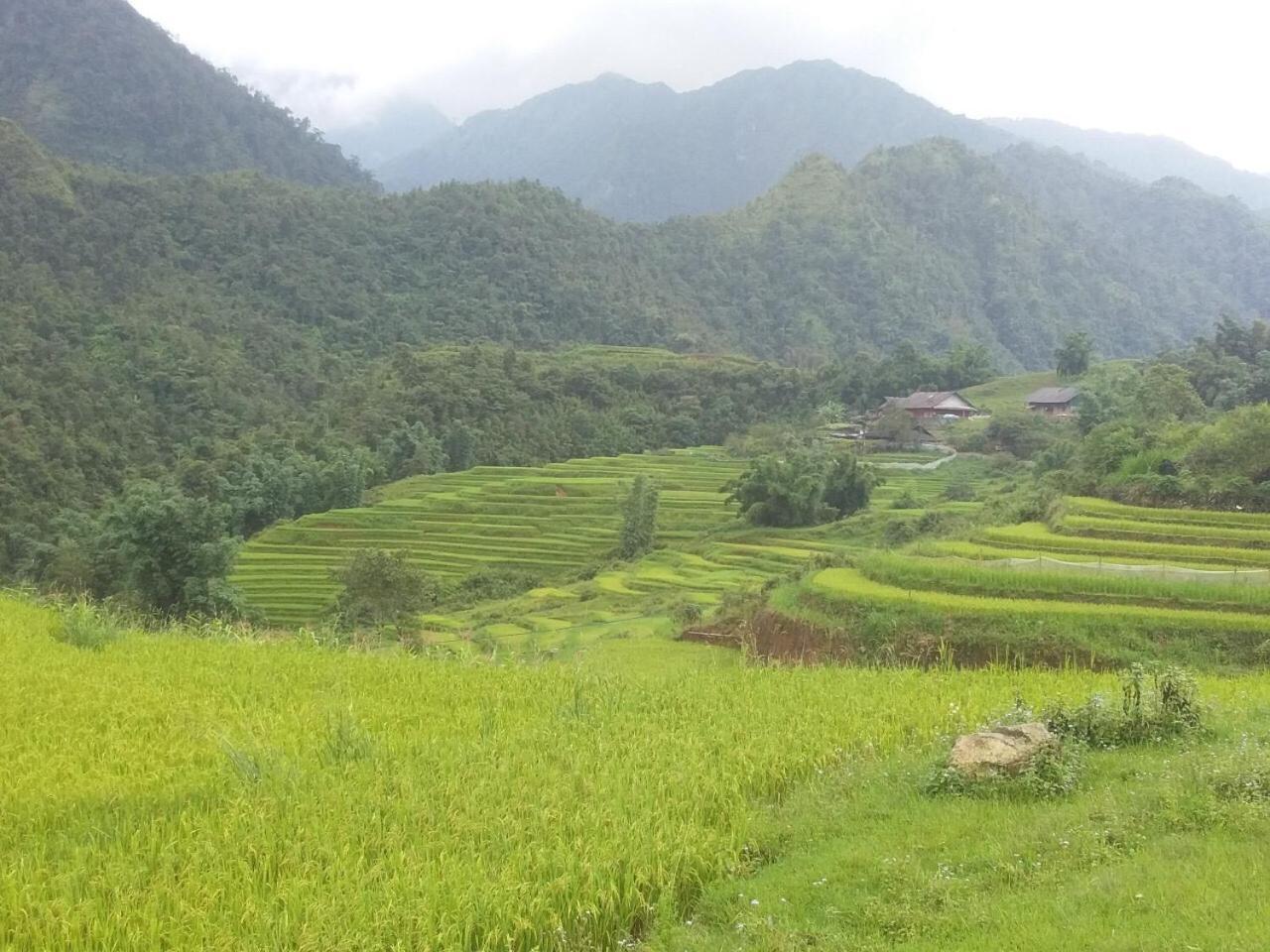 Chiende Homestay Sa Pa Exterior foto